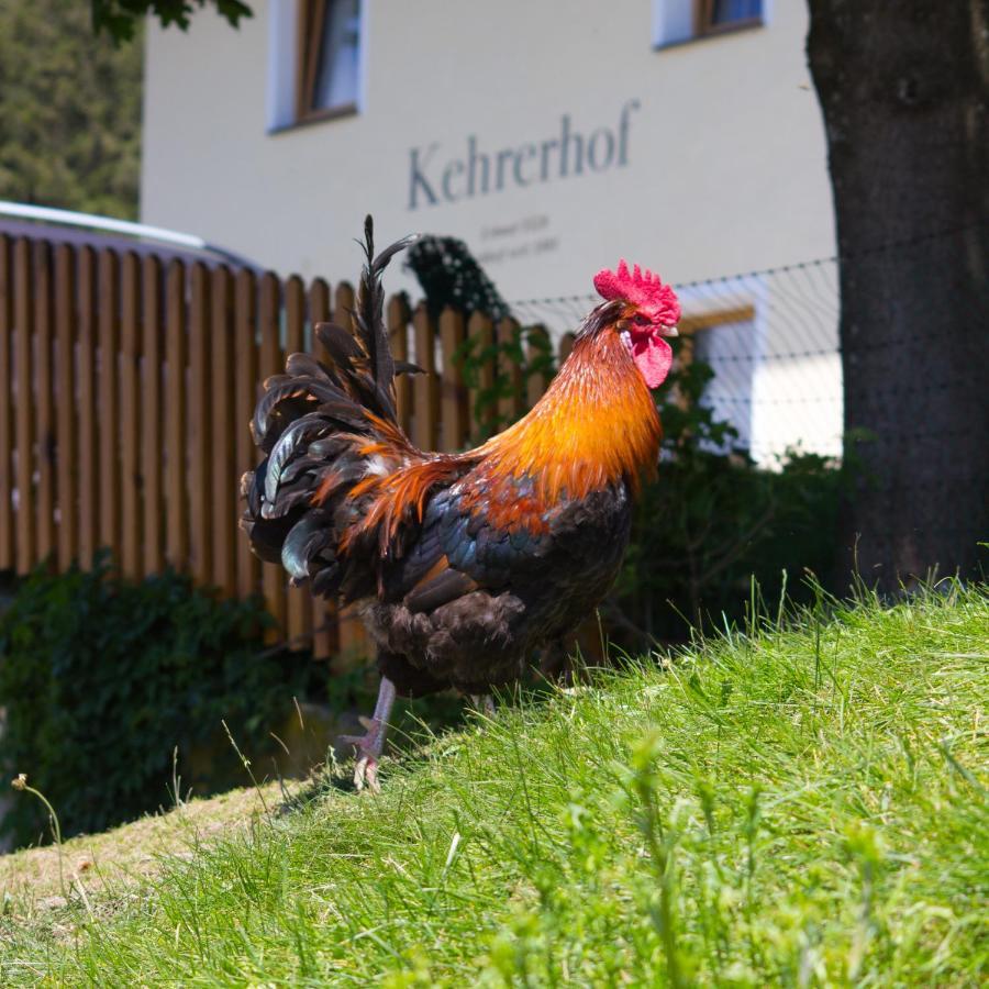Kehrerhof Hotel Ellbögen Екстериор снимка
